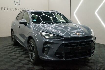 Cupra Terramar Gebrauchtwagen