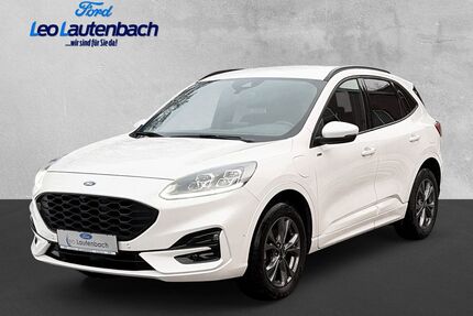 Ford Kuga Gebrauchtwagen