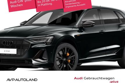 Audi e-tron Gebrauchtwagen