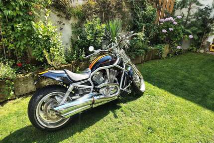 Harley Davidson V-Rod Gebrauchtwagen