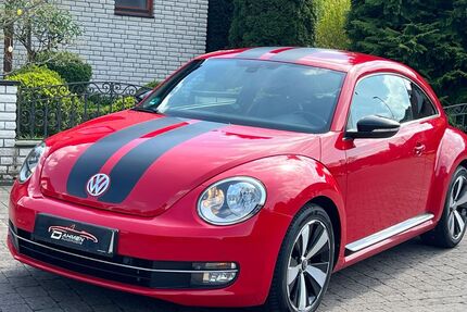 VW Beetle Gebrauchtwagen