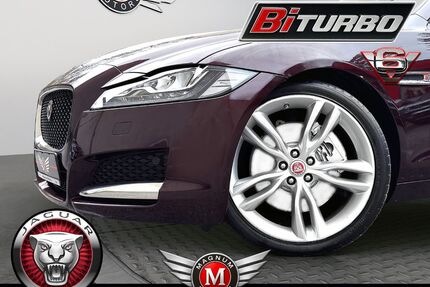 Jaguar XF Gebrauchtwagen