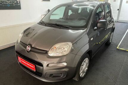 Fiat New Panda Gebrauchtwagen