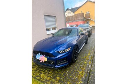 Ford Mustang Gebrauchtwagen