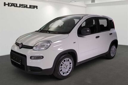Fiat Panda Gebrauchtwagen
