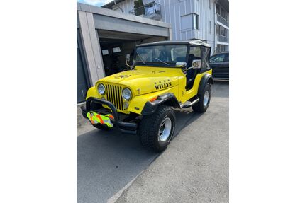 Jeep CJ Gebrauchtwagen