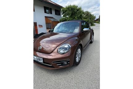 VW Beetle Gebrauchtwagen