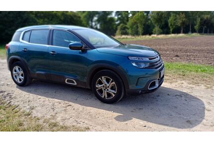 Citroen C5 Aircross Gebrauchtwagen