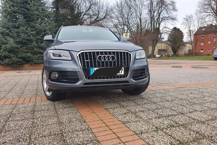 Audi Q5 Gebrauchtwagen