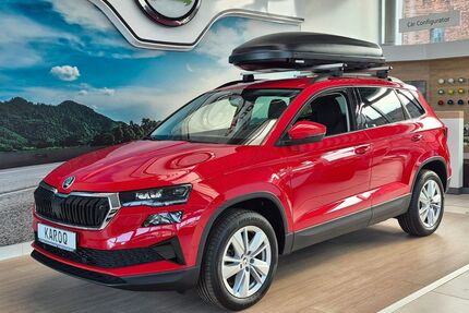 Skoda Karoq Gebrauchtwagen