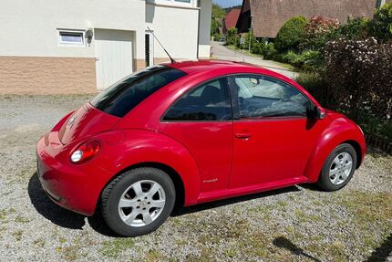 VW Beetle Gebrauchtwagen