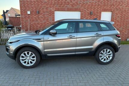 Land Rover Range Rover Evoque Gebrauchtwagen