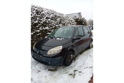 Renault Scenic Gebrauchtwagen
