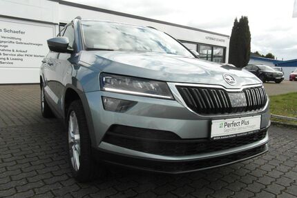 Skoda Karoq Gebrauchtwagen
