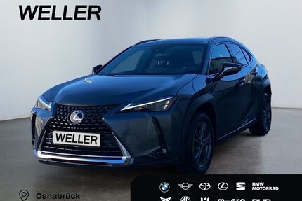 Lexus UX Gebrauchtwagen