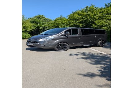 Ford Tourneo Custom Gebrauchtwagen