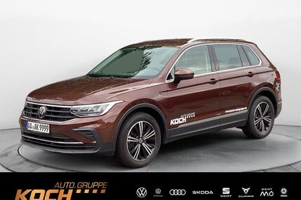VW Tiguan Gebrauchtwagen