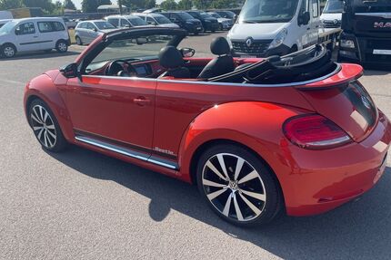 VW Beetle Gebrauchtwagen