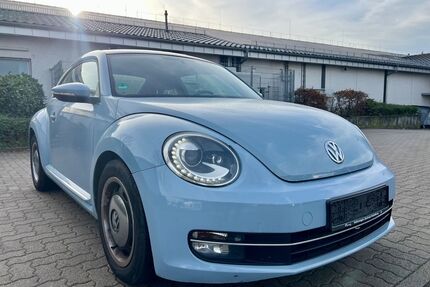 VW Beetle Gebrauchtwagen