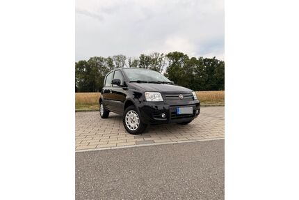 Fiat Panda Gebrauchtwagen