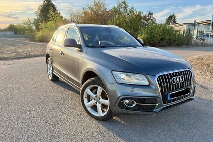 Audi Q5 Gebrauchtwagen