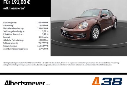 VW Beetle Gebrauchtwagen