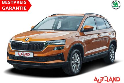 Skoda Karoq Gebrauchtwagen