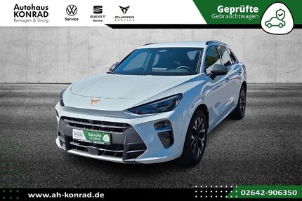 Cupra Terramar Gebrauchtwagen
