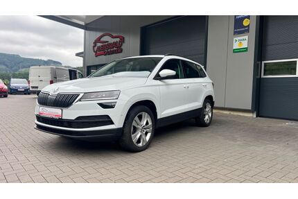 Skoda Karoq Gebrauchtwagen
