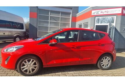 Ford Fiesta Gebrauchtwagen