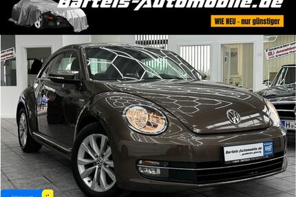 VW Beetle Gebrauchtwagen
