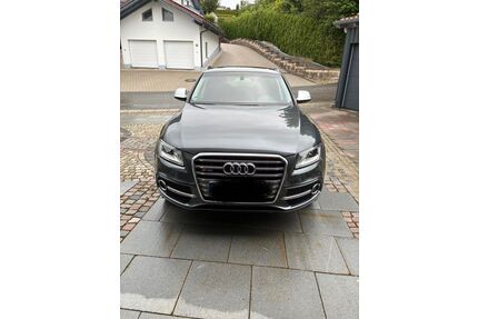 Audi SQ5 Gebrauchtwagen