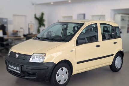 Fiat Panda Gebrauchtwagen