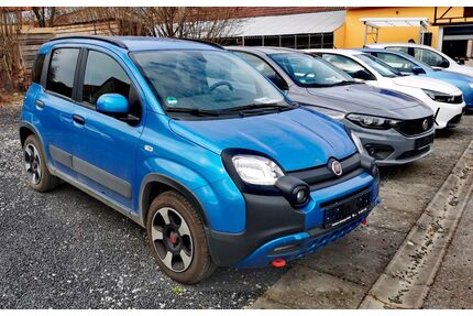 Fiat Panda Gebrauchtwagen
