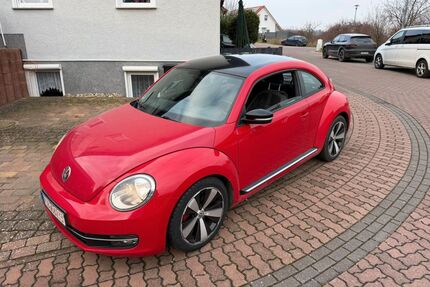 VW Beetle Gebrauchtwagen