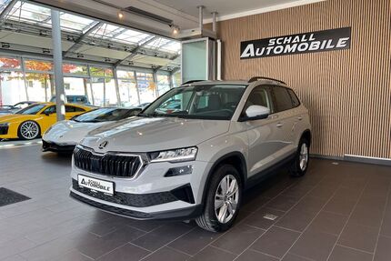 Skoda Karoq Gebrauchtwagen