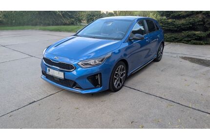 Kia ceed / Ceed Gebrauchtwagen