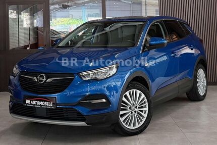 Opel Grandland (X) Gebrauchtwagen