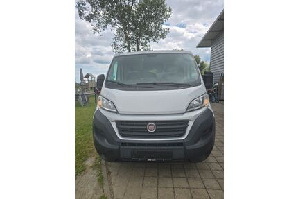Fiat Ducato Gebrauchtwagen