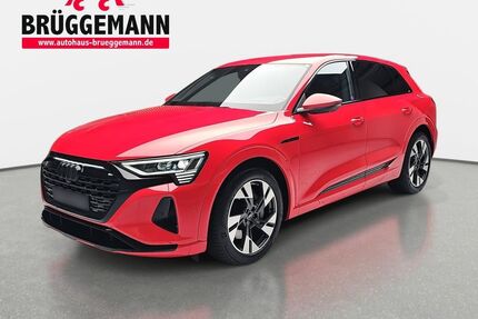 Audi Q8 e-tron Gebrauchtwagen