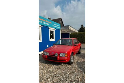 Ford Escort Gebrauchtwagen