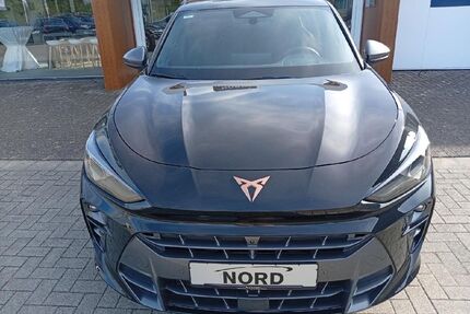 Cupra Terramar Gebrauchtwagen