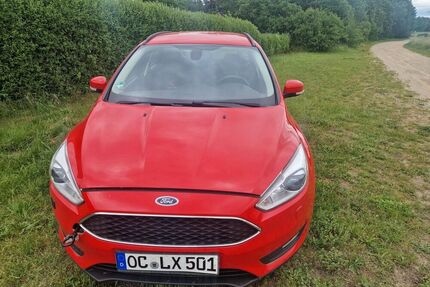 Ford Focus Gebrauchtwagen