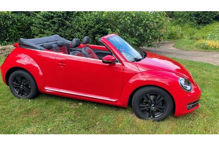 VW Beetle Gebrauchtwagen