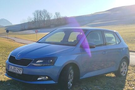 Skoda Fabia Gebrauchtwagen