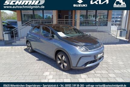 BYD DOLPHIN Gebrauchtwagen