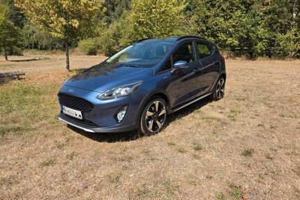Ford Fiesta Gebrauchtwagen