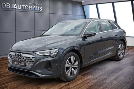 Audi Q8 e-tron Gebrauchtwagen