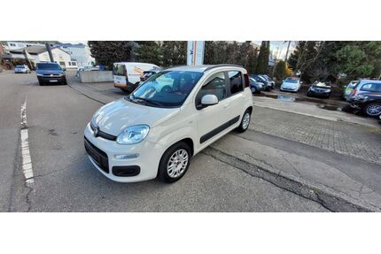 Fiat Panda Gebrauchtwagen