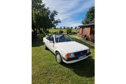 Ford Escort Gebrauchtwagen